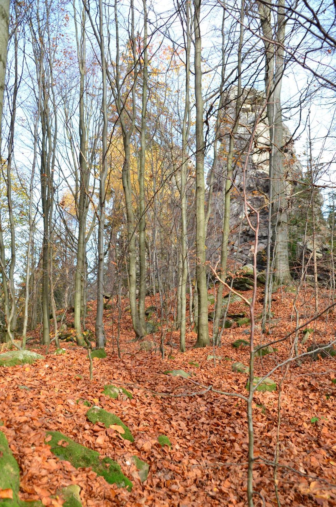 Penzion Gaudeamus Milovy Exterior foto